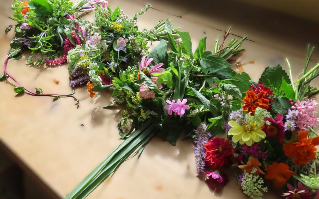 植物と遊ぶ、美味しい実験室へ。